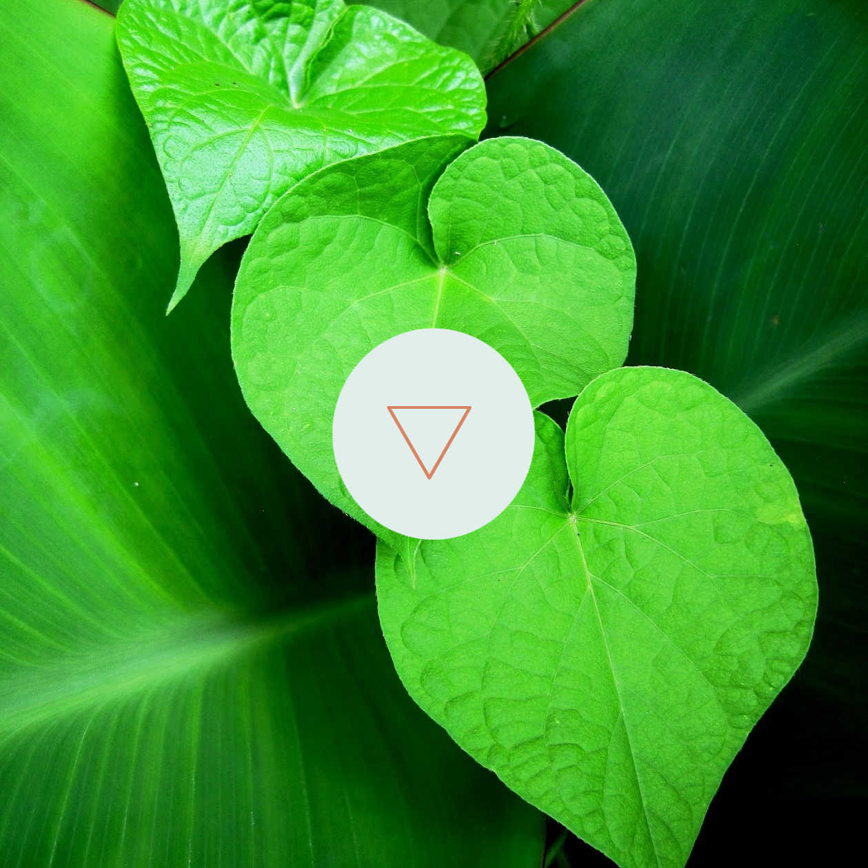 Equilibrium Tages-Retreat: Empowerment