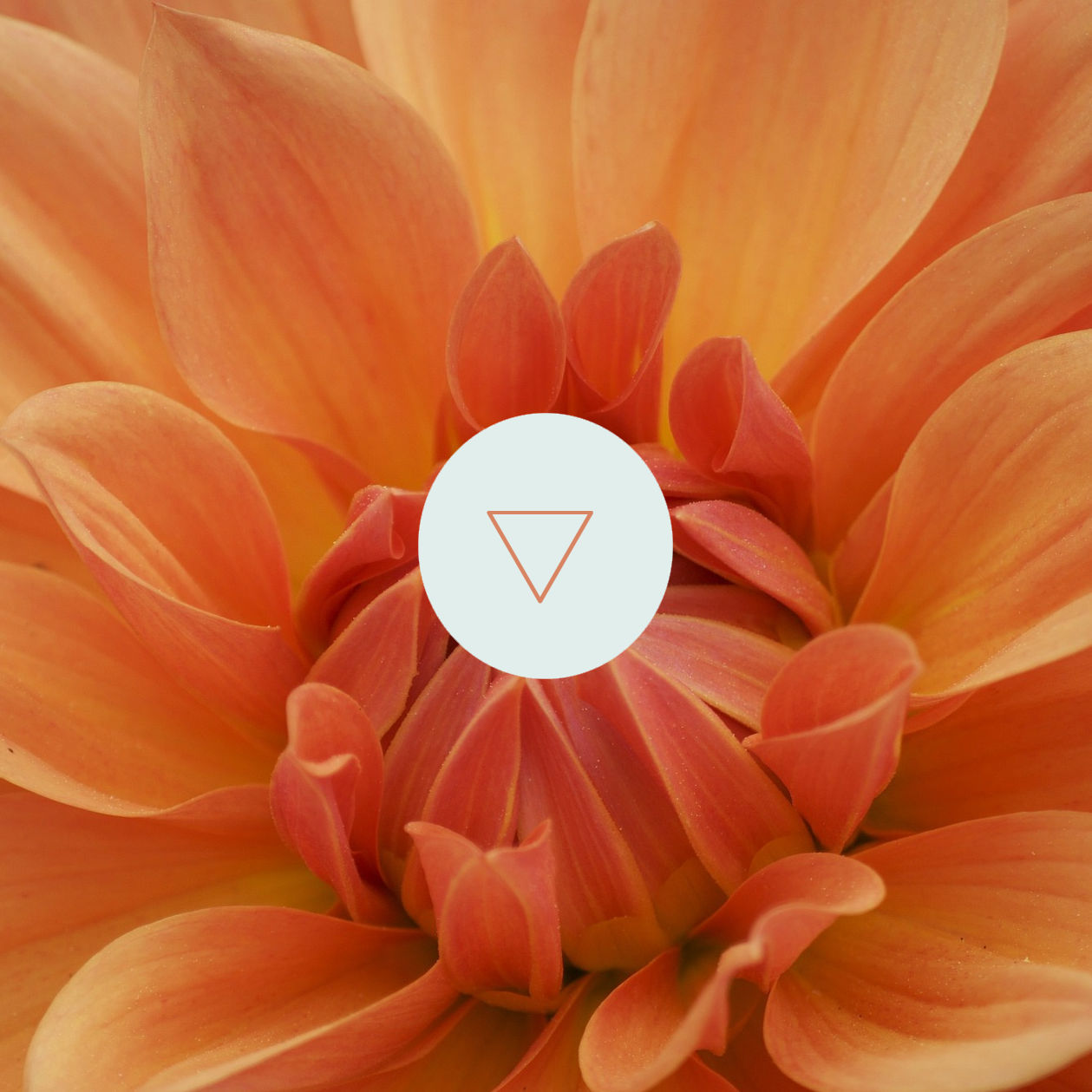 Equilibrium Tages-Retreat: Pleasure