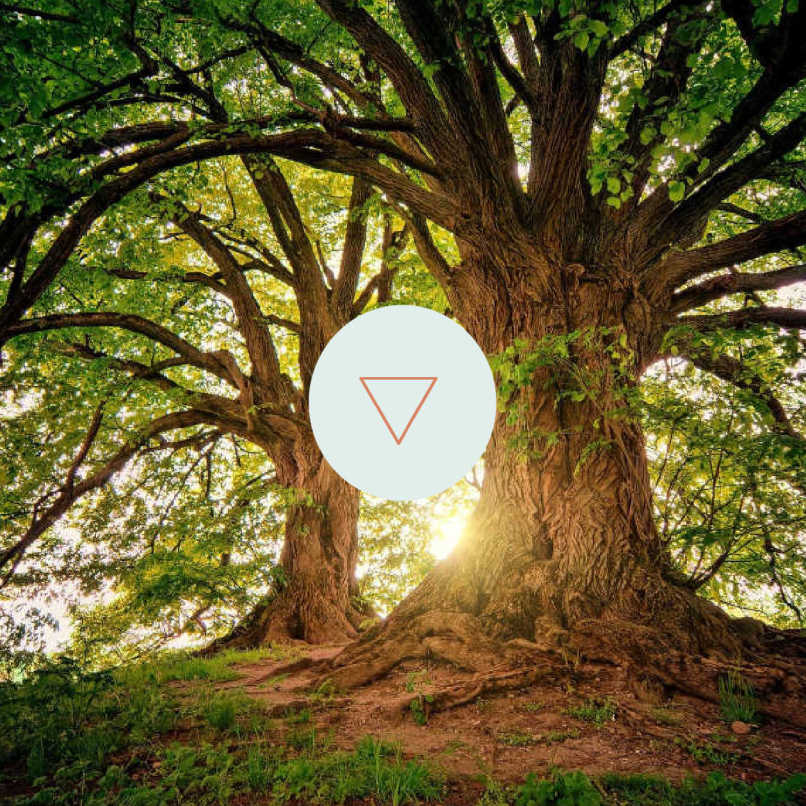 Equilibrium Tages-Retreat 3er Zyklus